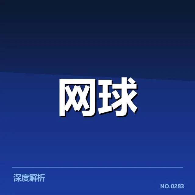 主要赛事与选手表现概述